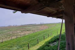 Zeeuws-Vlaanderen-102214